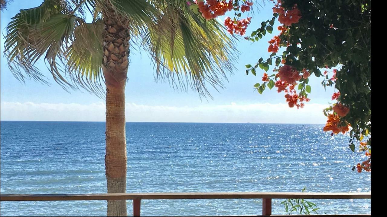 Mi Capricho C16 Beachfront Apartment Sitio de Calahonda Exterior foto